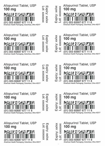 100 mg Allopurinol Tablet Blister (100 mg Blister)